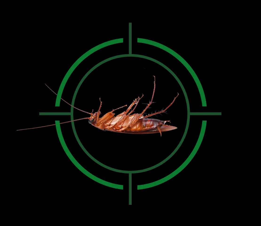Instant Bug Kill