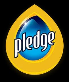 Pledge